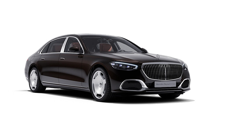 Mercedes-Maybach S 450 4MATIC - Ảnh 10
